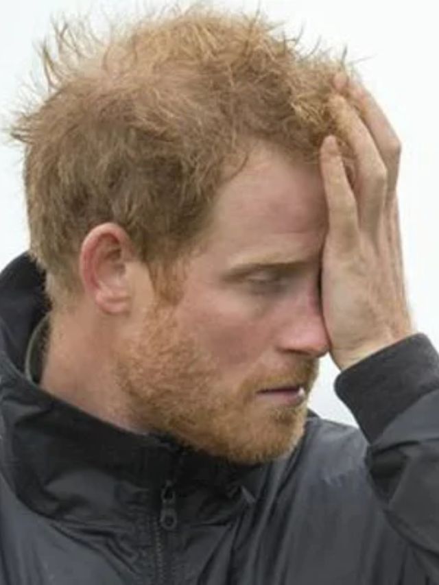Concerns Mount Over Prince Harry Financial Future